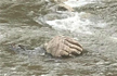 Hand of God in Kerala: Human Hand-shaped rock appears in Munnar river